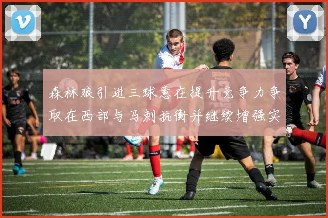 森林狼引进三球意在提升竞争力争取在西部与马刺抗衡并继续增强实力